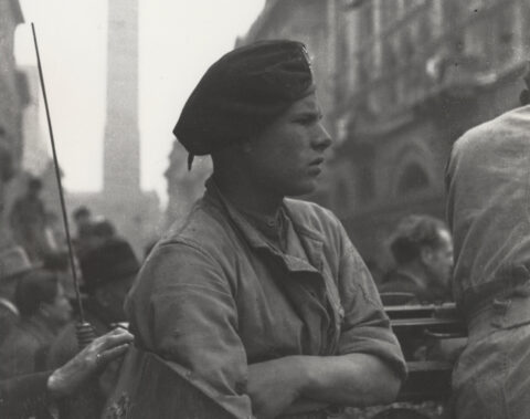 Fondo Miscellanea Bologna 900